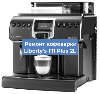 Чистка кофемашины Liberty's F11 Plus 2L от накипи в Челябинске